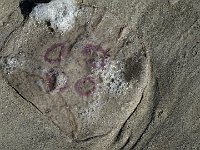 foto 199